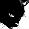 [Yoruichi Shihouin's Cat Form Picture]